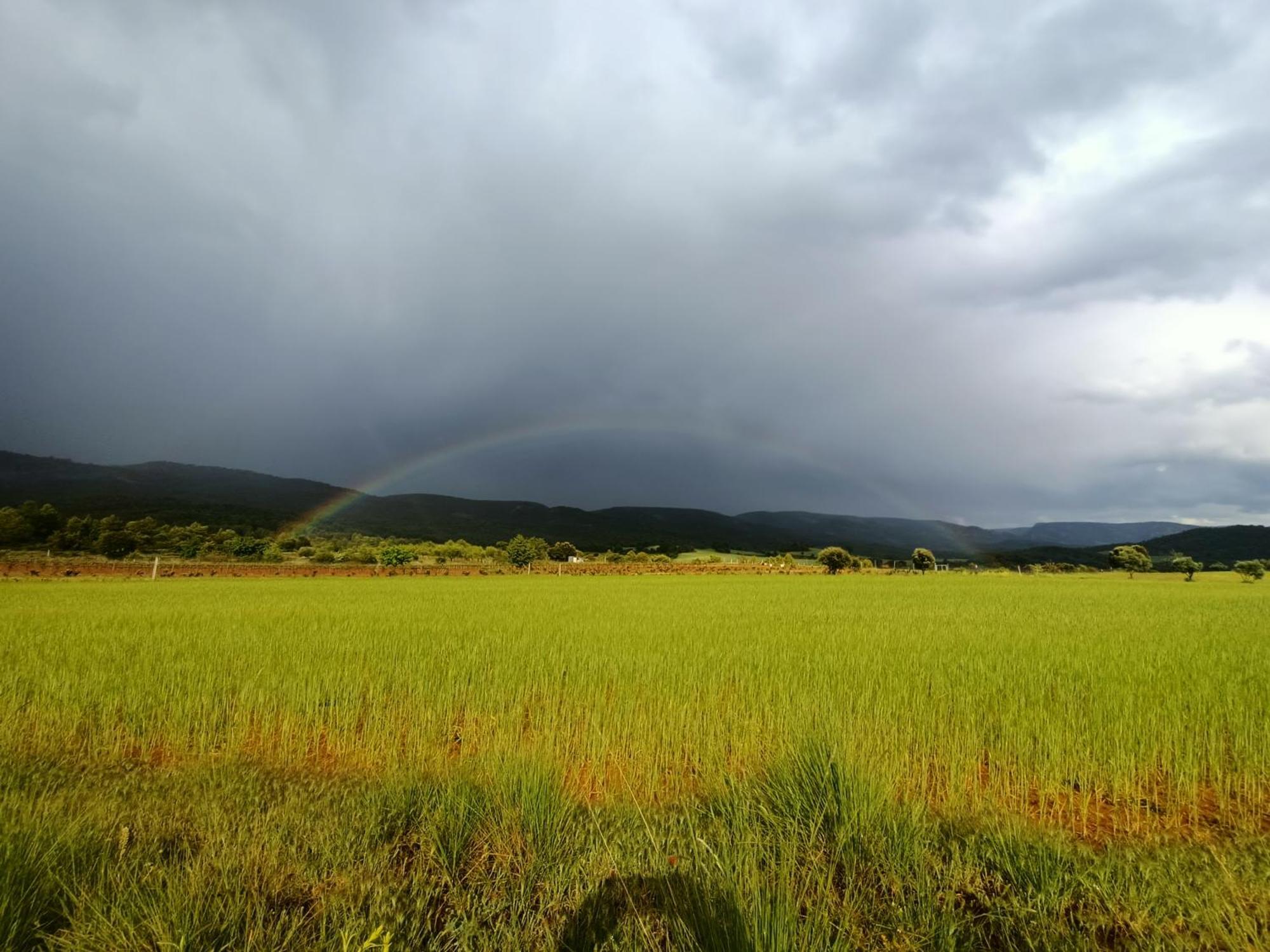 Fresneda de la Sierra Alojamiento Rural El Cerro מראה חיצוני תמונה